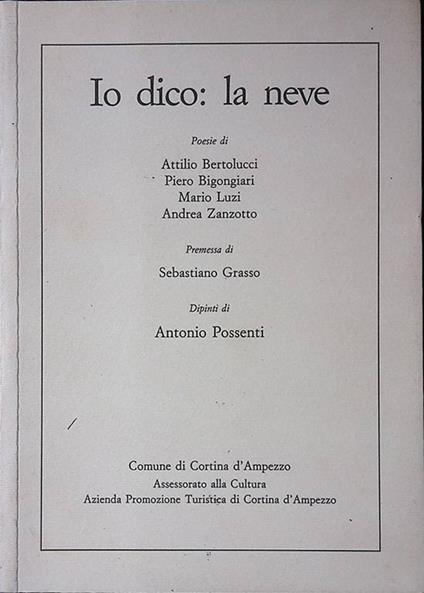 Io dico la neve - copertina