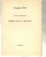 Ombre Fra Le Metope
