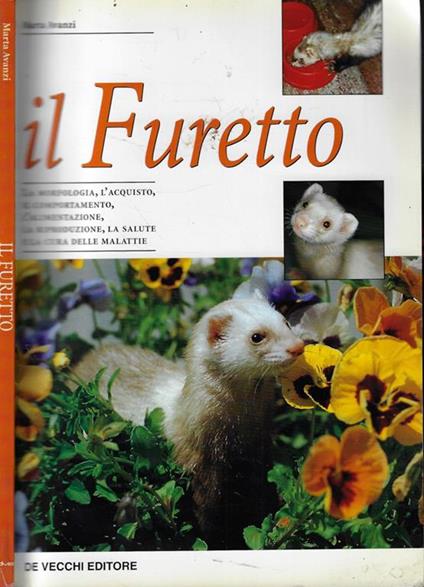 Il Furetto - Marta Avanzi - copertina