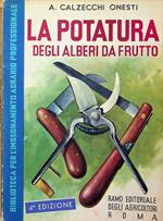 La potatura degli alberi da frutto