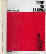 Dove va la Cina?