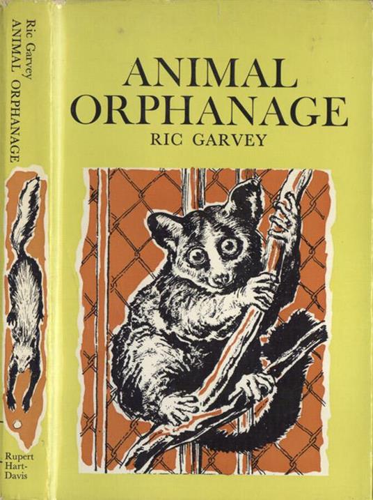 Animal orphanage - copertina