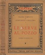 Le serve al pozzo