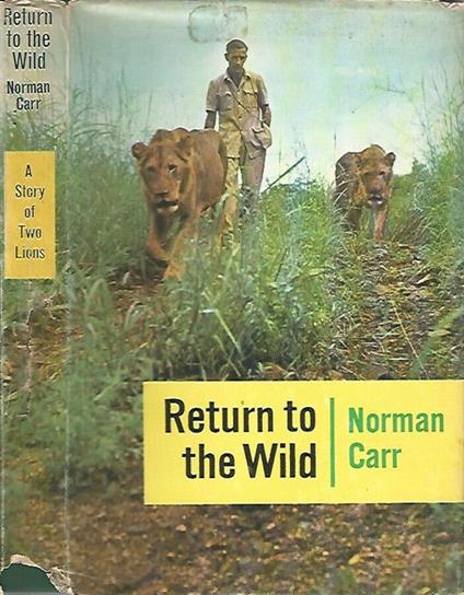 Return to the Wild - copertina