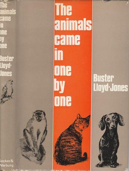 The animals came in one by one - copertina