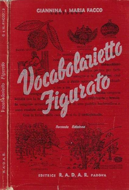 Vocabolario Figurato - copertina