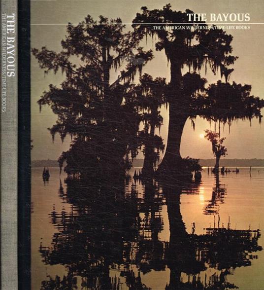 The Bayous - copertina