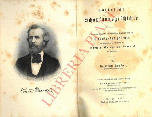 Natürliche Schöpfungsgeschichte. Gemeinverständliche wissenschaftliche Vorträge über die Entwicklungslehre im Allgemeinen und diejenige von Darwin, Goethe und Lamarck im Besonderen. Siebente, umgearbeitete und vermehrte Auflage - Ernst Haeckel - copertina