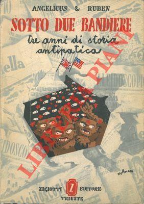 Sotto due bandiere. Tre anni di storia antipatica - copertina