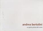 Andrea Bertolini: un gatto prima del coma