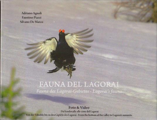 Fauna del Lagorai - Adriano Agnoli,Faustino Piazza,Silvano De Marco - copertina