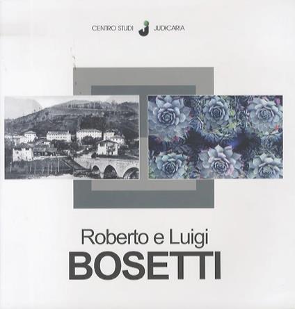 Roberto e Luigi Bosetti: 2009 - copertina