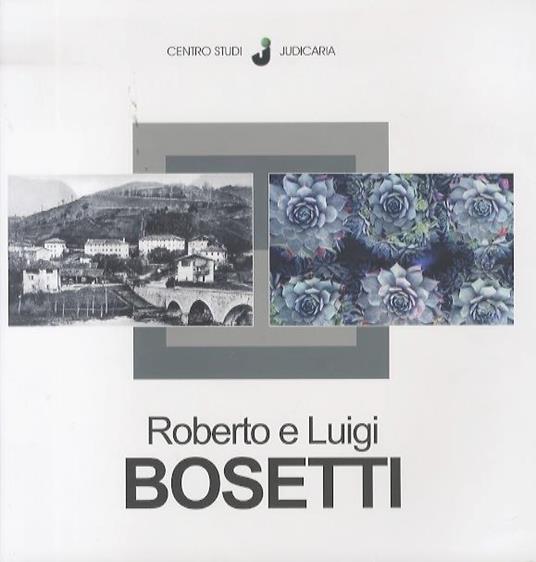 Roberto e Luigi Bosetti: 2009 - copertina