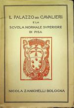 Il palazzo dei Cavalieri e la scuola normale superiore di Pisa