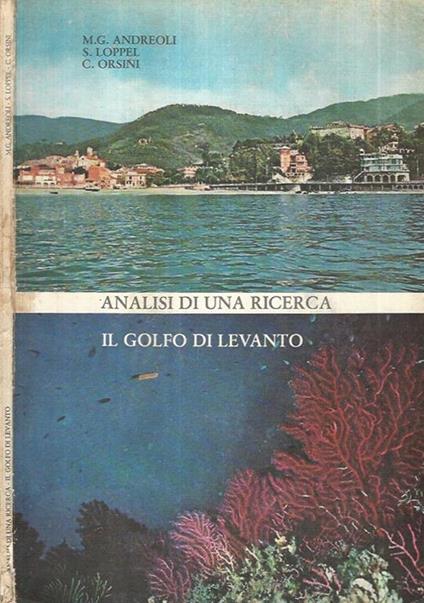 Analisi di una ricerca - Andreoli - copertina