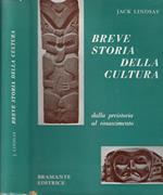 Breve storia della cultura