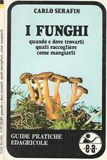 I Funghi: quando e dove trovarli, quali raccogliere, come mangiarli