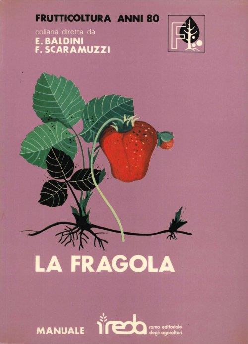 MaxLibri