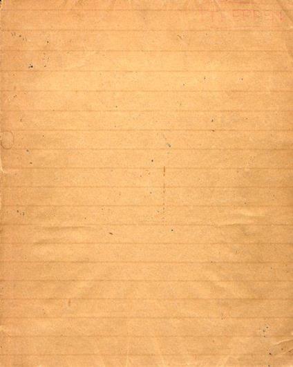 Treepen aus stein. Holz und eisen - copertina