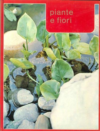 Piante e fiori - copertina