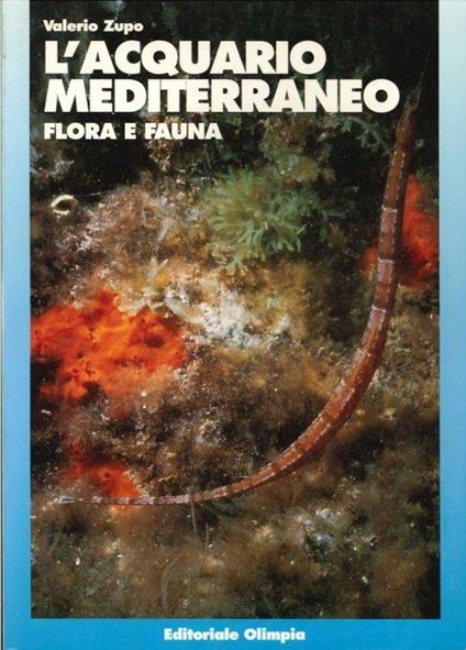 L' acquario mediterraneo. Flora e fauna - Valerio Zupo - copertina