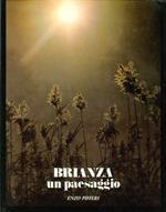 Brianza. Un Paesaggio
