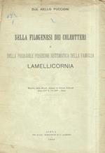 Della filogenesi dei coleotteri e della probabile posizione sistematica della famiglia lamellicornia. Estratto dalla Rivista Italiana di Scienze Naturali anno XXV, n. 7-8 1905