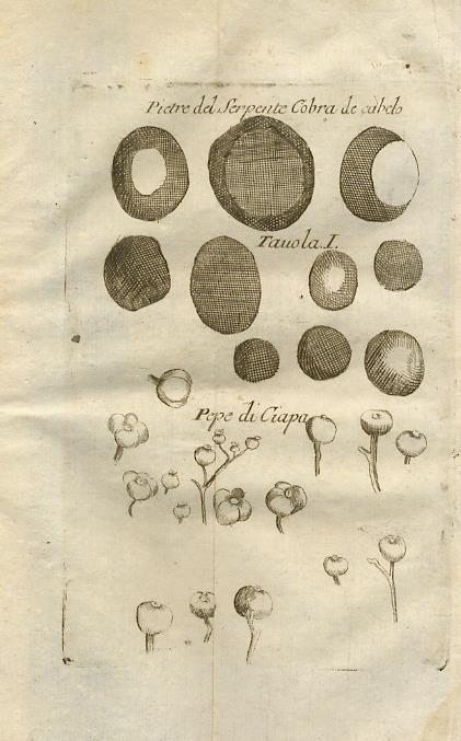 Opere di Francesco Redi gentiluomo aretino, ed accademico della Crusca. In questa nuova edizione riccorette, e migliorate. Tomo secondo - Francesco Redi - copertina