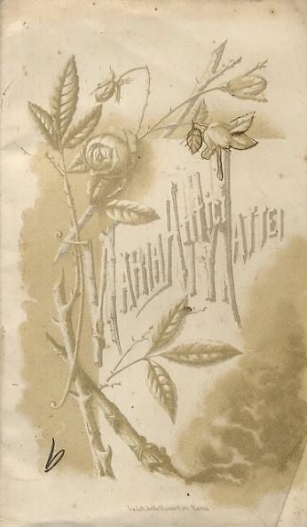 MARIA Antici-Mattei - copertina