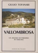 Vallombrosa. Un angolo di paradiso in Toscana nella storia religiosa storica artistica