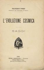 L' evoluzione cosmica. Saggi