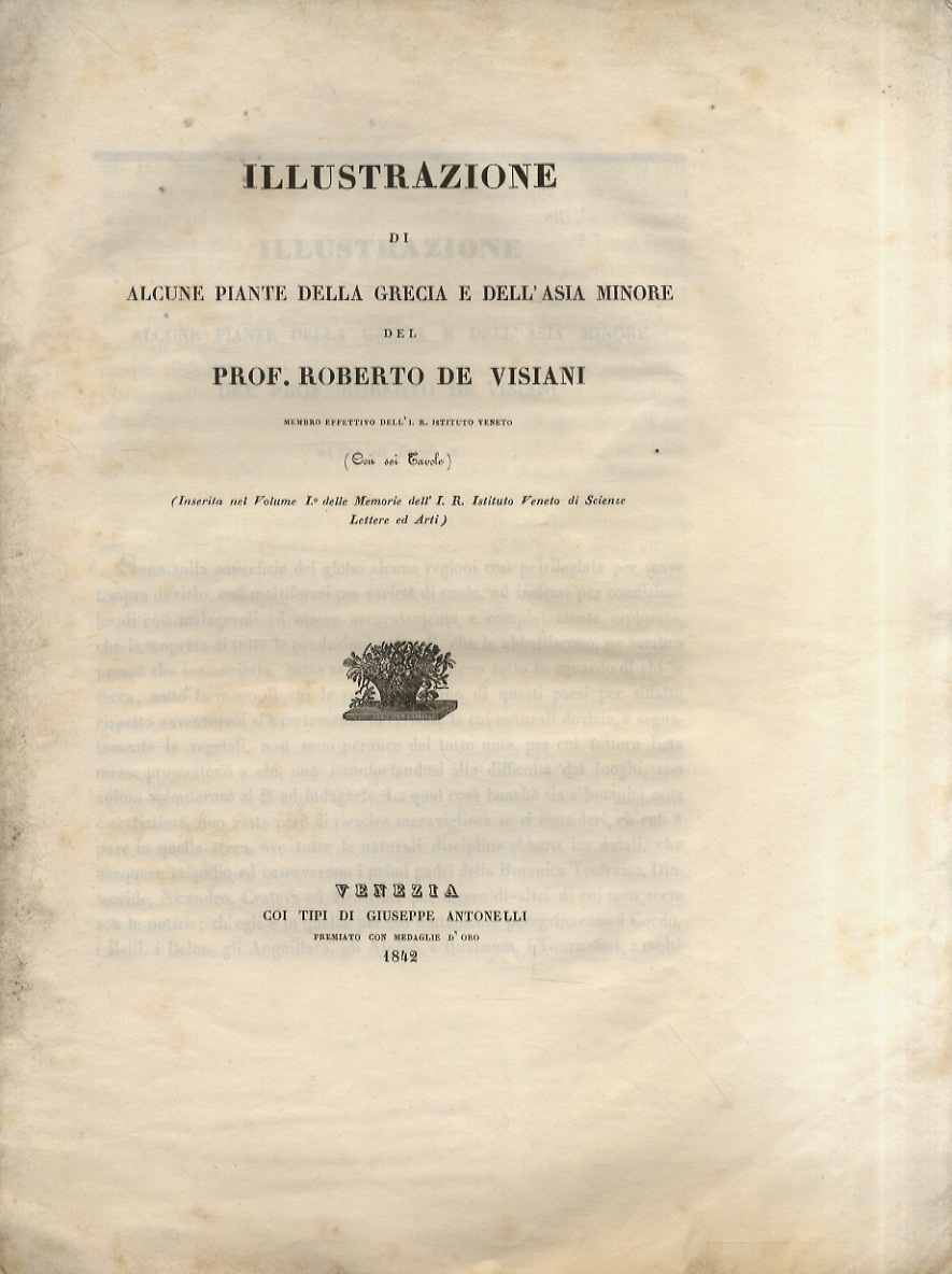 Libreria antiquaria Gozzini