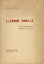 La Polonia economica. Studio edito a cura del Ministero per l'industria e il commercio