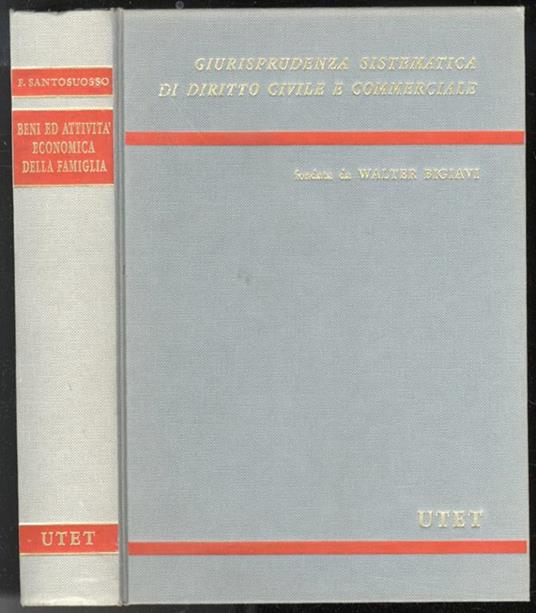 Beni ed attività economica della famiglia - Fernando Santosuosso - copertina