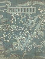 Prevedere. Provvedere