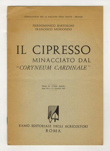 Il Cipresso minacciato dal "Coryneum cardinale" - Piero Bartoloni - copertina