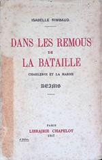 Dans les remous de la bataille