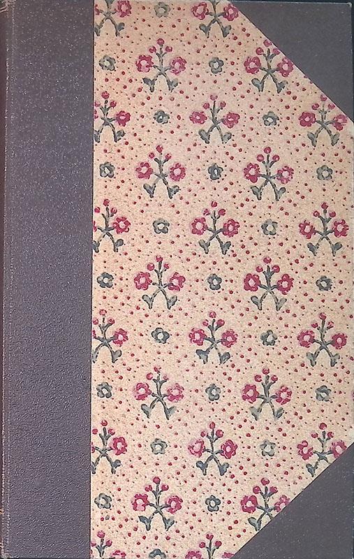 Hien le maboul - Emile Nolly - copertina