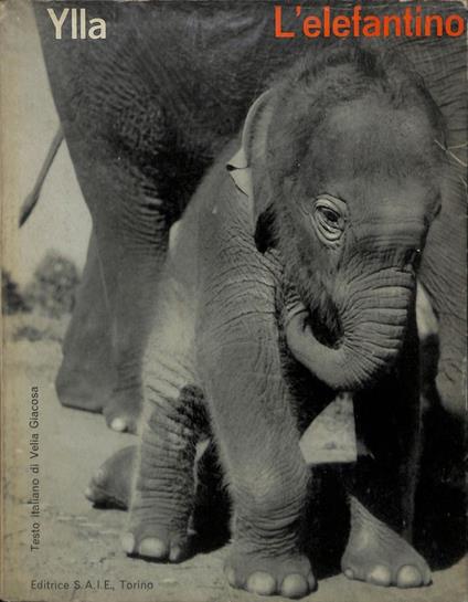 L' elefantino - Ylla - copertina
