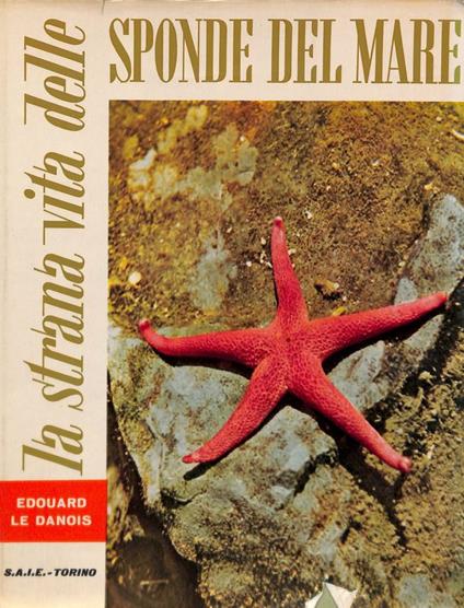 La strana vita delle sponde del mare - copertina