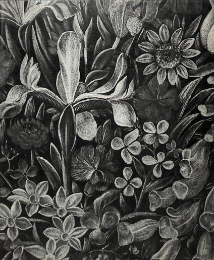 Paràdeisos. Dall universo del fiore - Alberto Veca - copertina