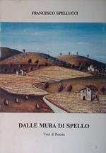 Dalle mura di Spello. Voci di Poesia