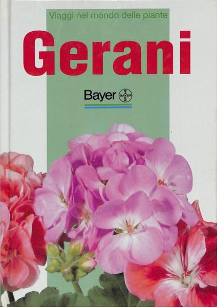 Gerani - Eliena Angiuli - copertina