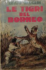 Le tigri del Borneo