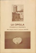 La cipolla. Fitografia e proprietà