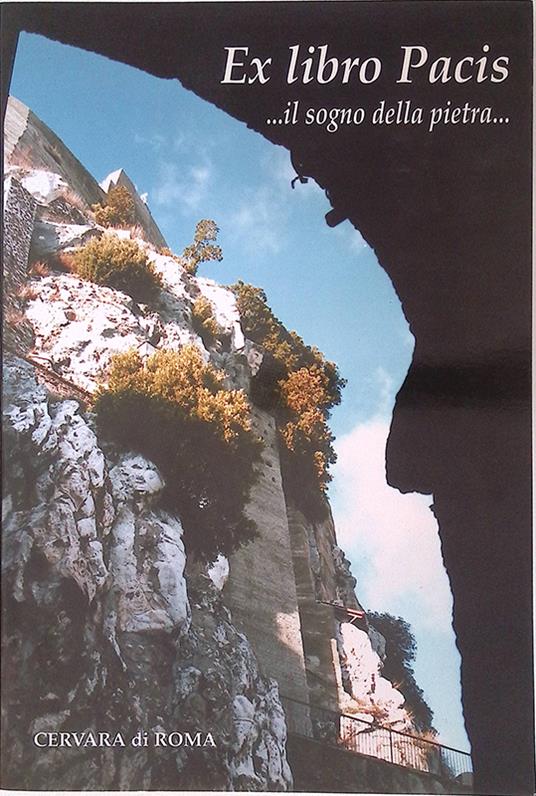 Il manuale del disegnatore - Augusto Vecchi - copertina