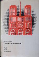 L' educazione sentimentale. Storia di un giovane