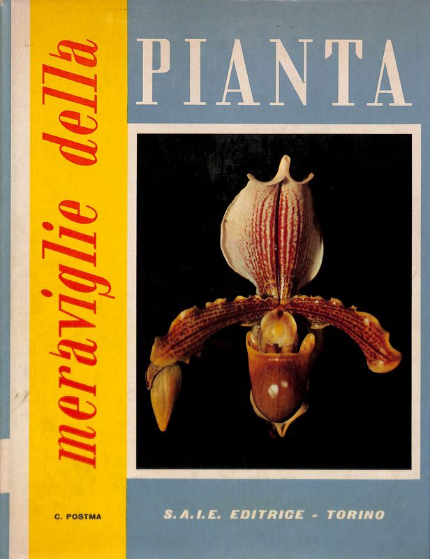 Folignolibri