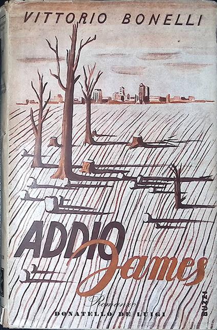 Addio James - Vittorio Borelli - copertina