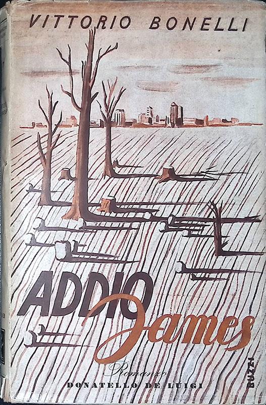 Addio James - Vittorio Borelli - copertina